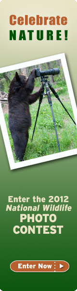 Enter the 2012 photo contest now!